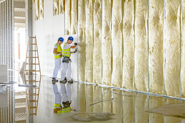 Best Commercial Insulation in Mapleton, UT